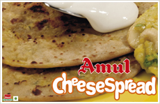  Amul Cheese Spread