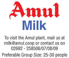 Amul Cattle Milk